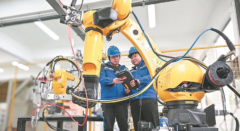 虾类批发市场:动态与趋势