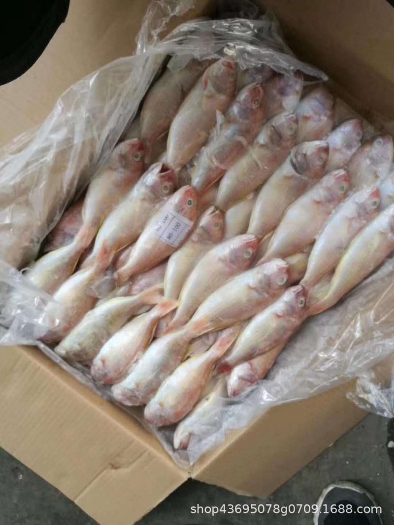 冷冻海鲜的市场动态和批发趋势