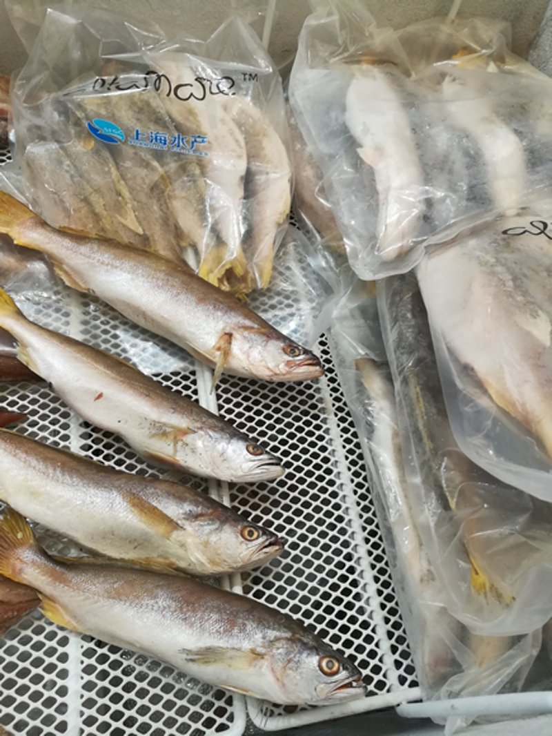 鱼类批发市场：行业的活力与变革